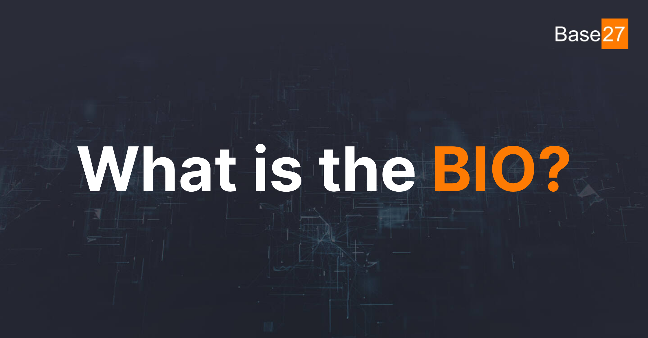 What is the Baseline Information Security for Government (BIO)?